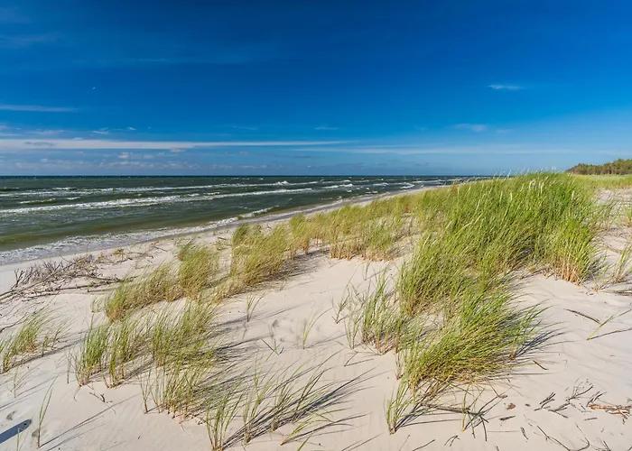 Park 22 Semesterbostad Sasino